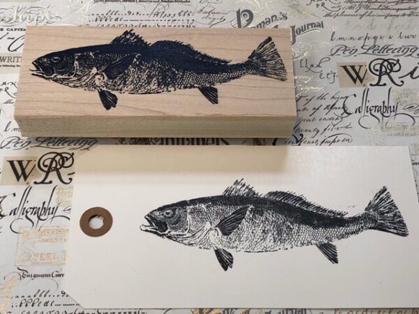 Good sized fish