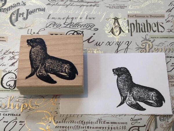 Seal sidevieuw