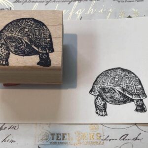 Tortoise