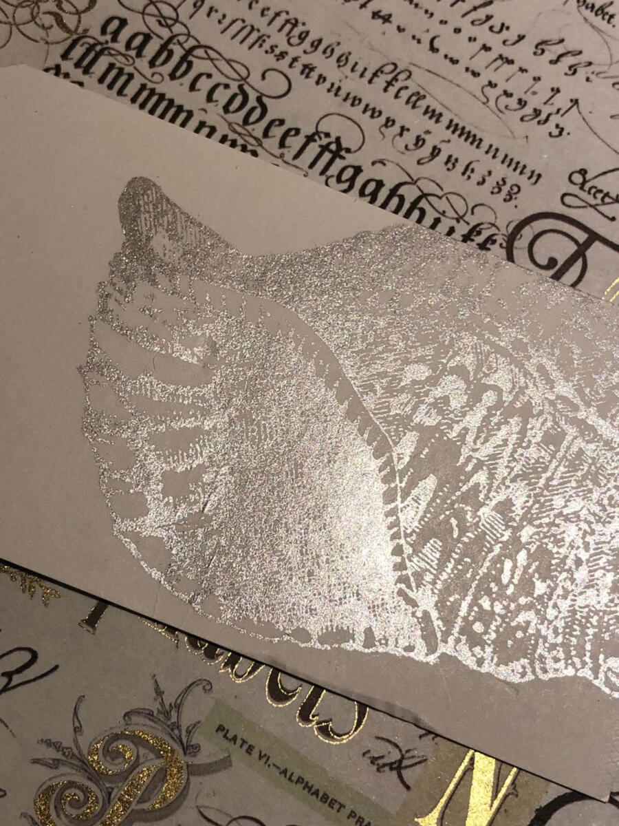 Delicata silvery shimmer - Afbeelding 2