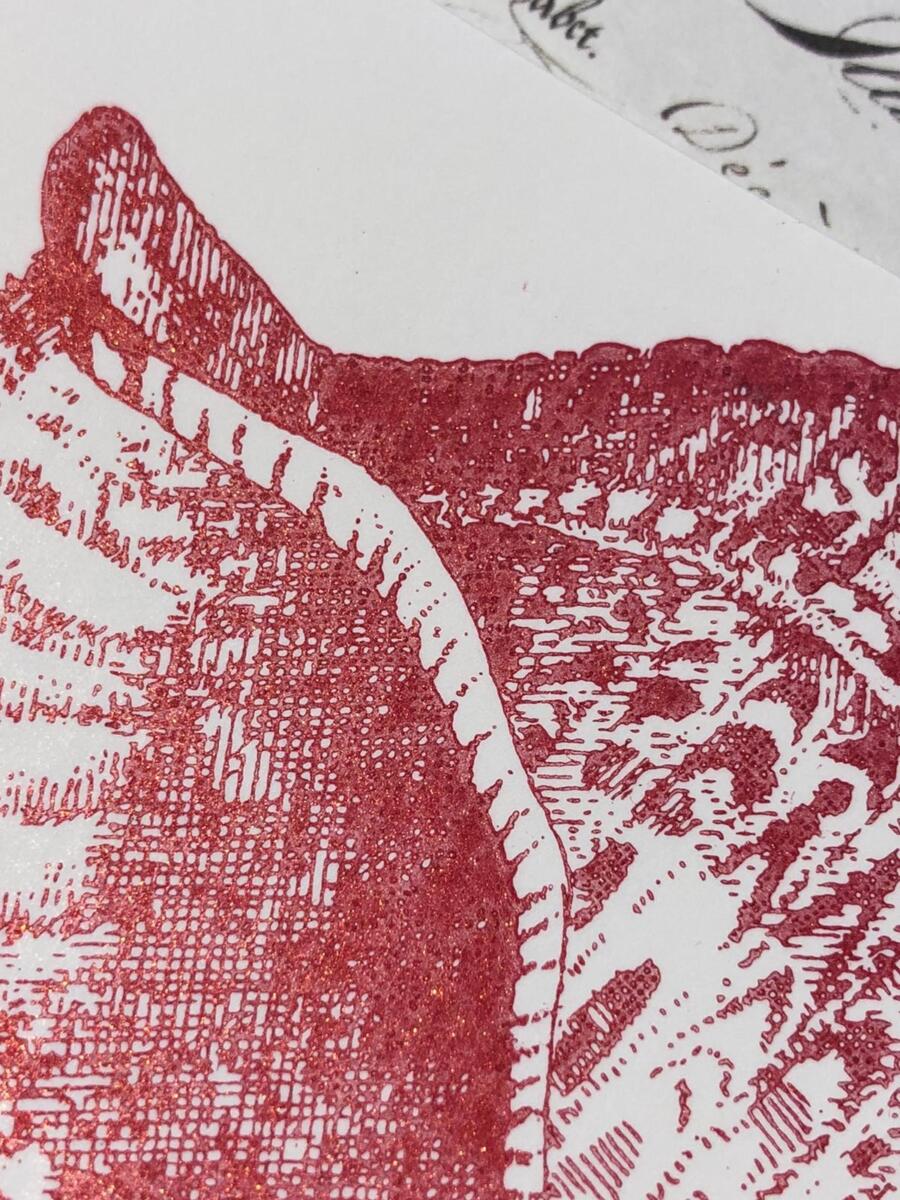 Delicata ruby red - Afbeelding 2