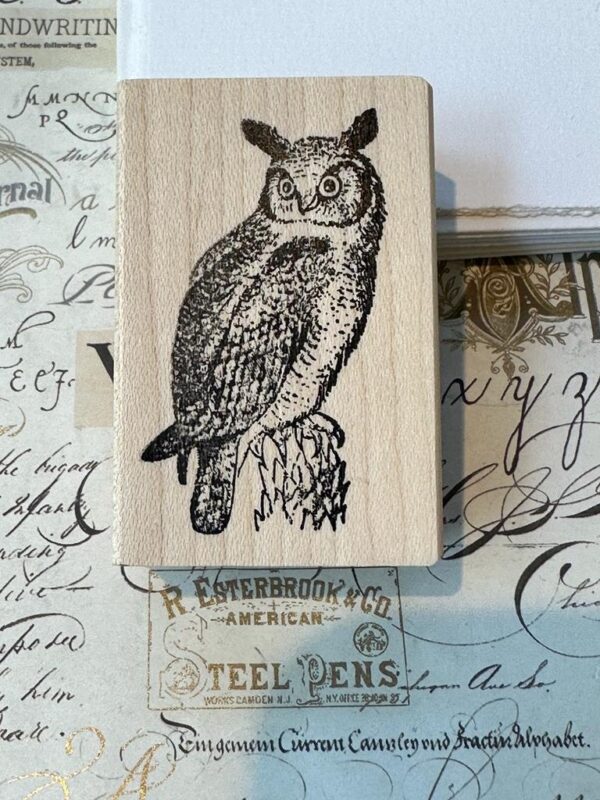 Owl looking left