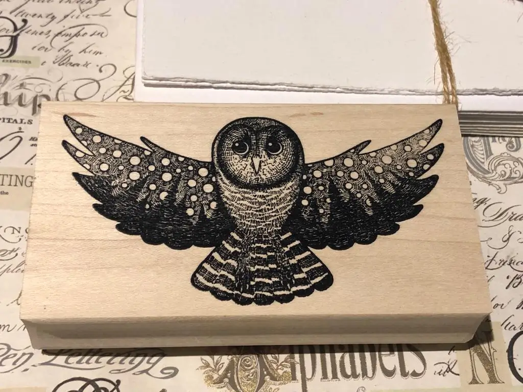 Starry night owl
