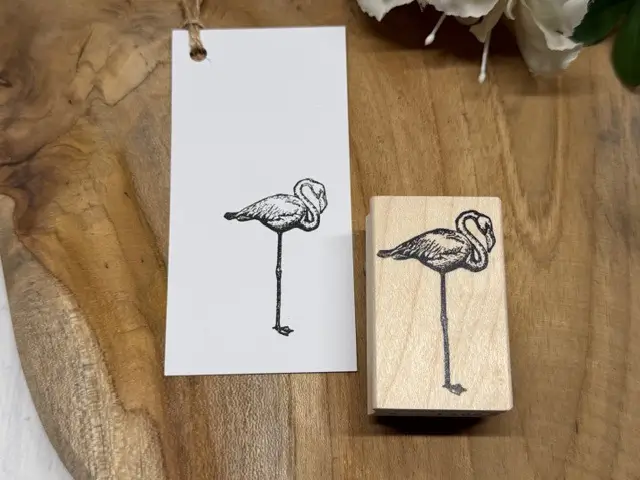 Flamingo on one foot