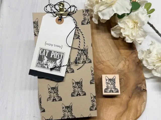 Cat with ruffle collar