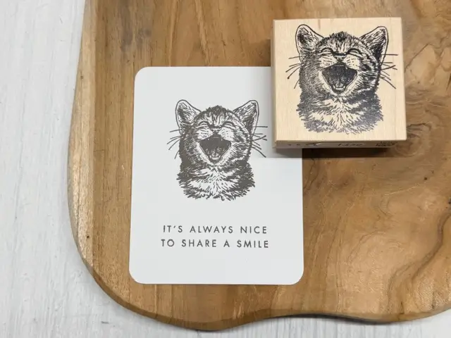 Open mouth kitty small