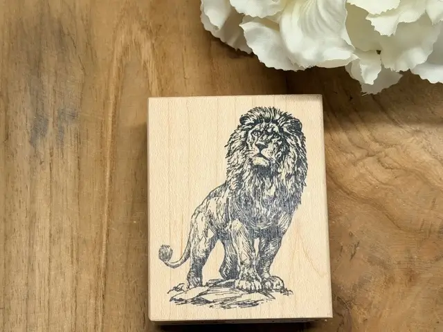 Male lion 2