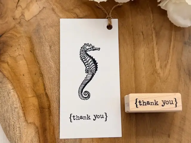 {Thank You}