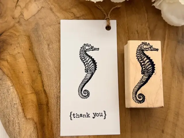 Seahorse small