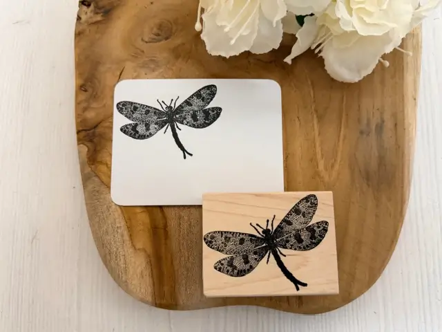 Great spotted dragonfly