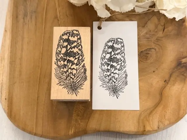 Owl feather
