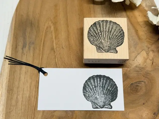 Pilgrim's scallop