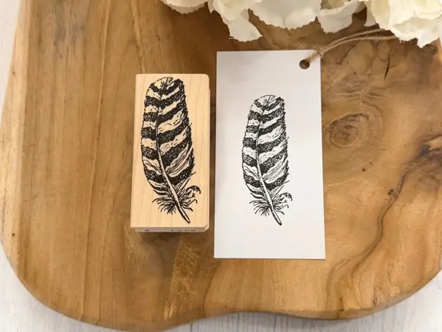 Hawk feather