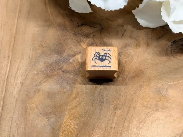 Mini spinne Jolanda