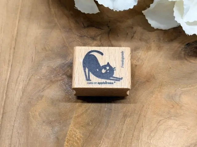 Friedegunde mit Katzenbuckel