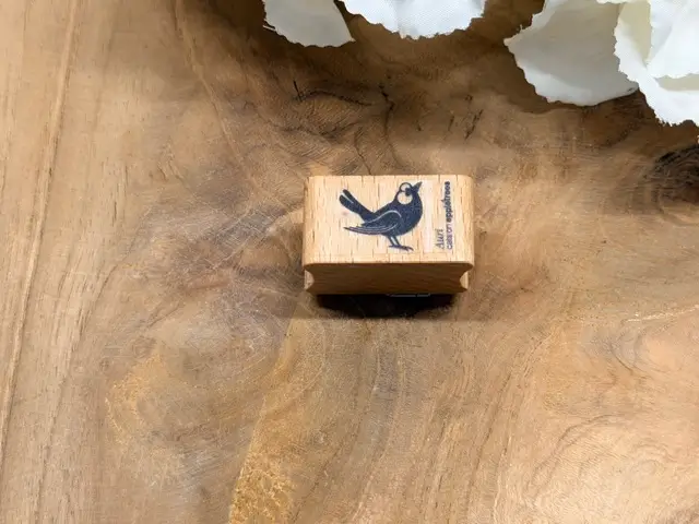 Amsel Auri