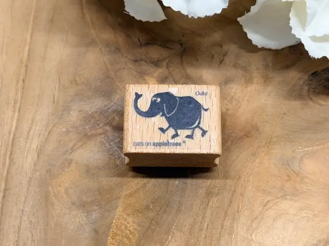 Elefant Ocke
